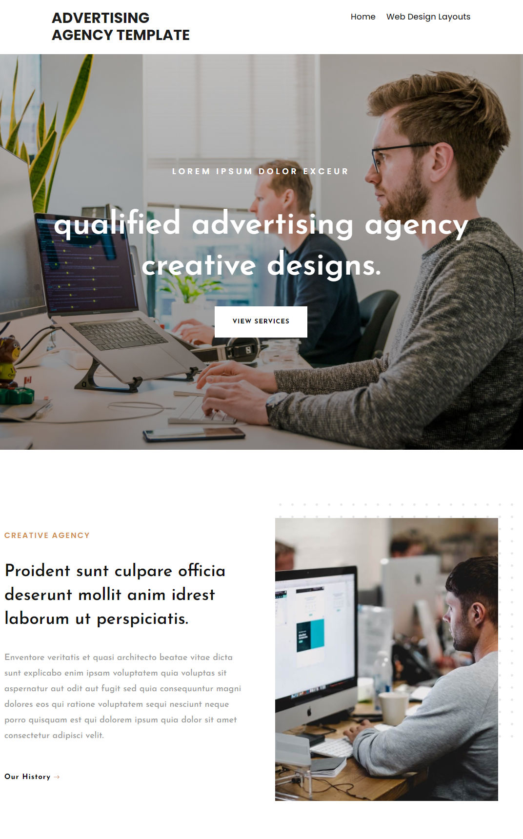 10001 – Advertising Agency Website Design