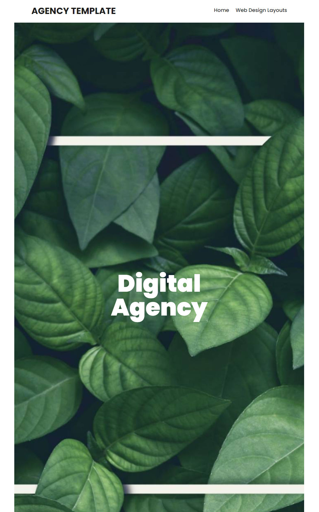 10002 – Agency Website Design