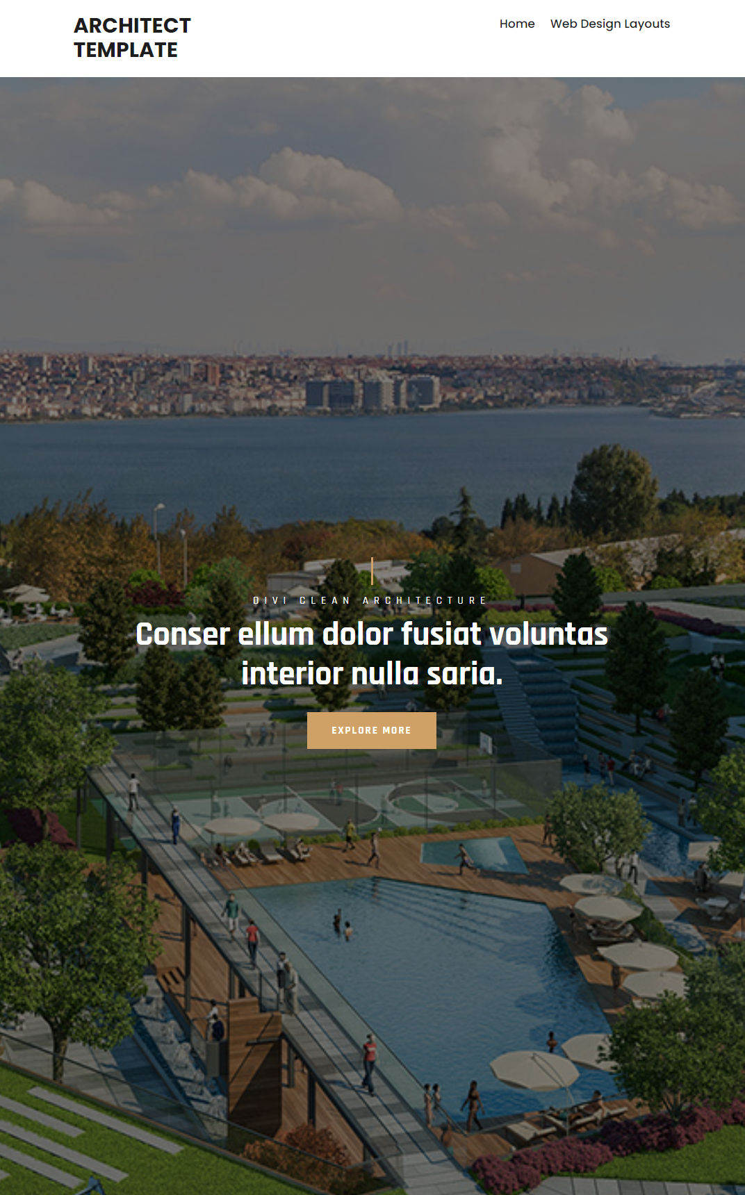 10039 – Architect Website Design