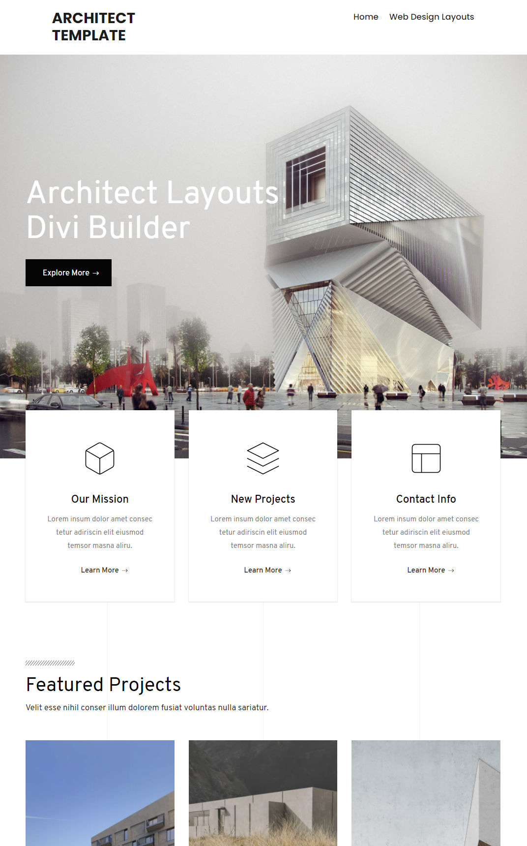 10041 – Architect Website Design