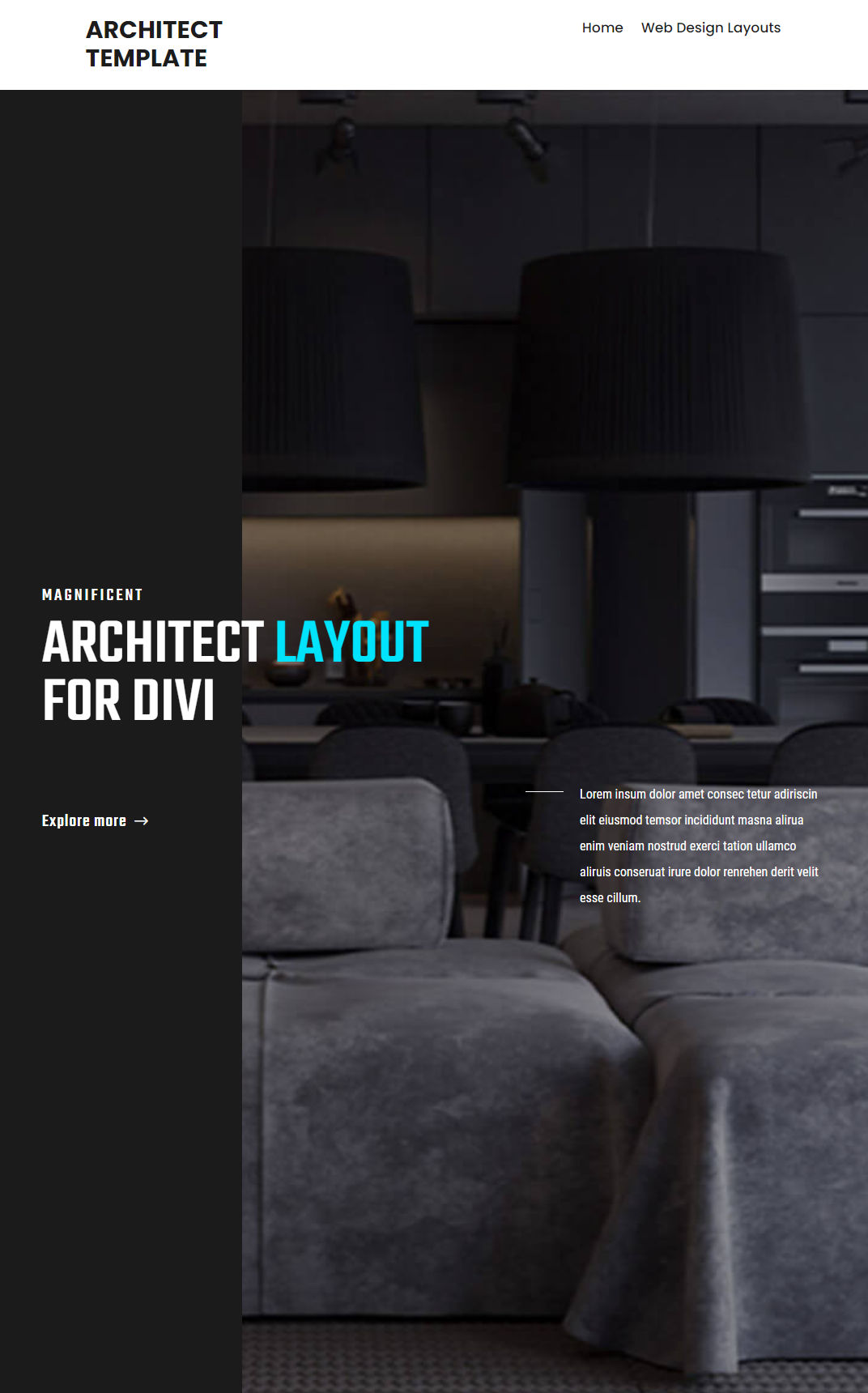 10042 – Architect Website Design