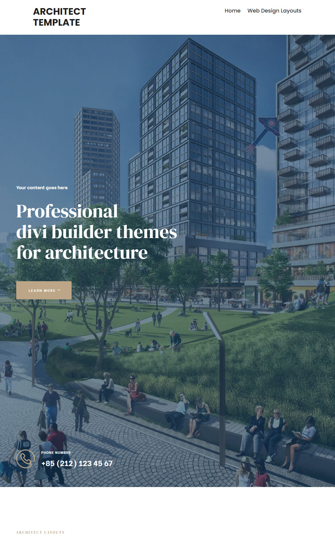 10043 – Architect Website Design