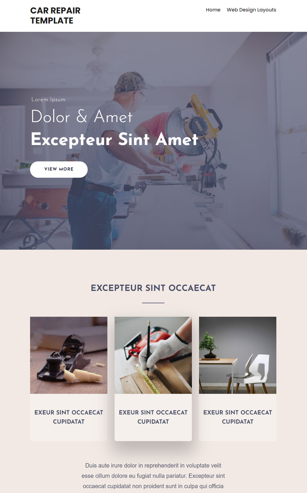 10076 – Carpenter Website Design