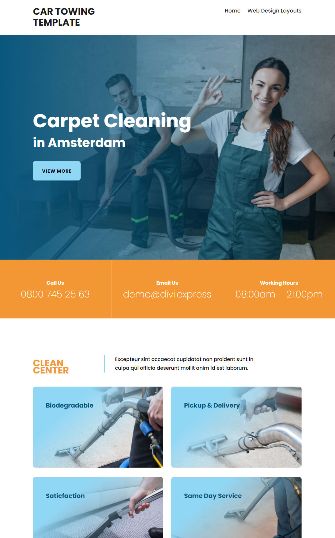 10077 – Carpet Cleaning Website Design