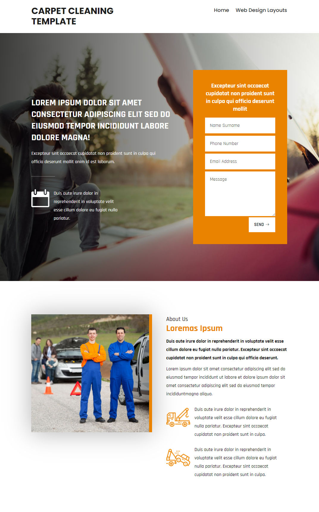 10081 – Carpet Cleaning Website Design