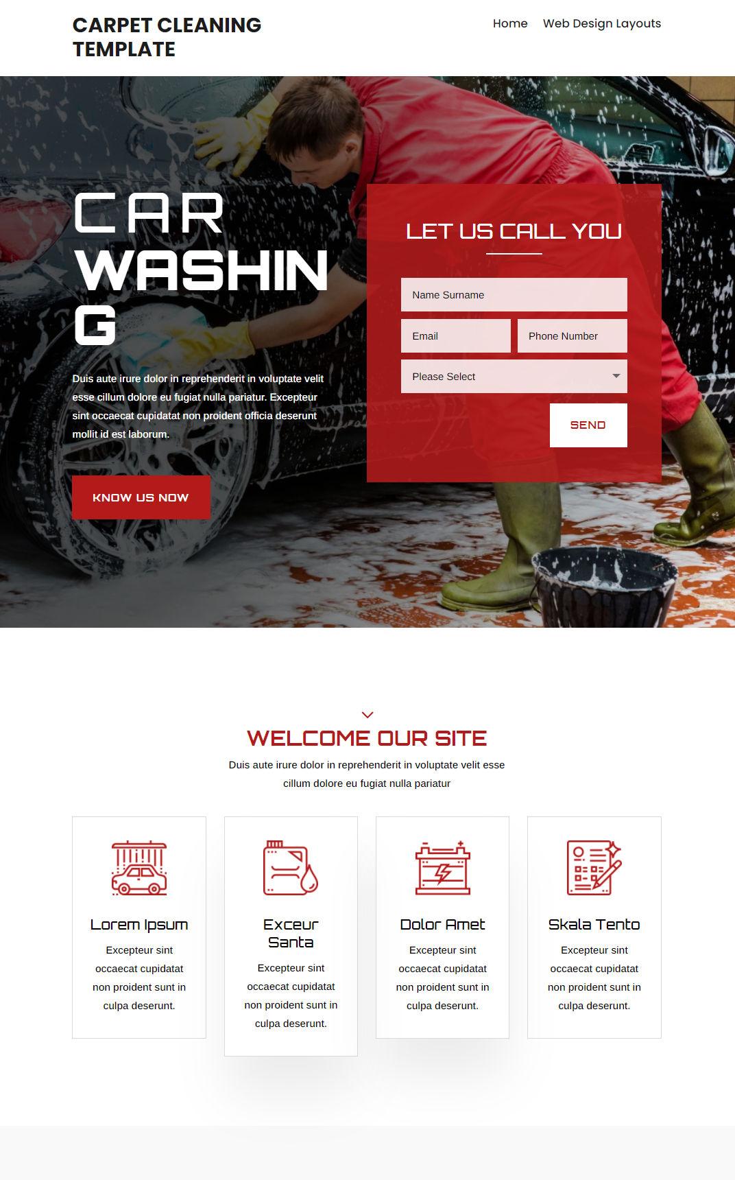 10082 – Car Washing Website Design