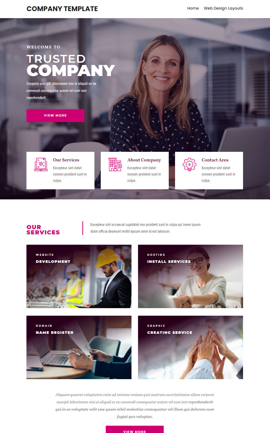 10113 – Company Website Design