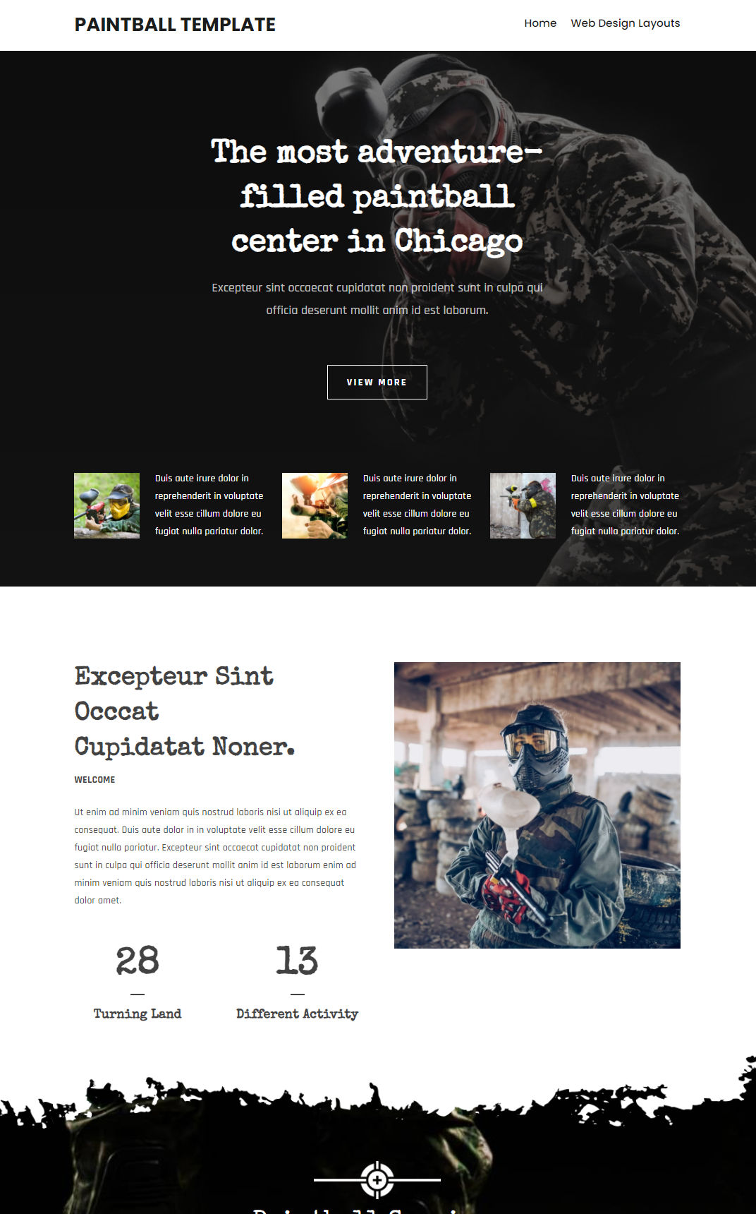10347 – Paintball Website Design