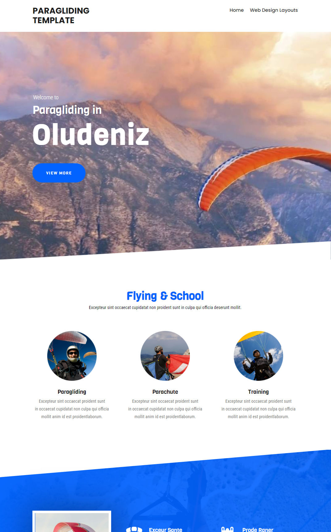 10349 – Paragliding Website Design