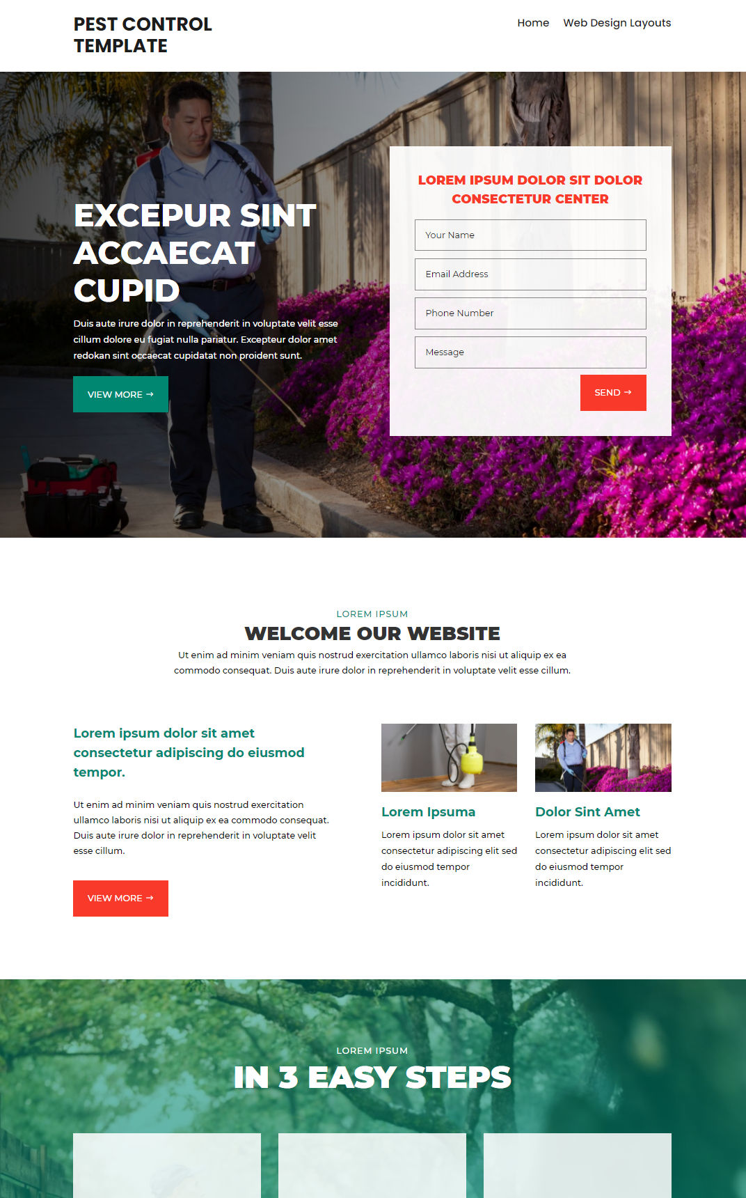 10357 – Pest Control Website Design