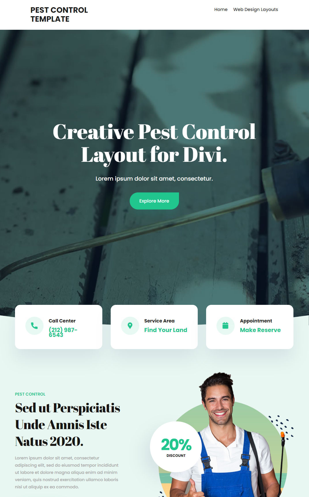10358 – Pest Control Website Design