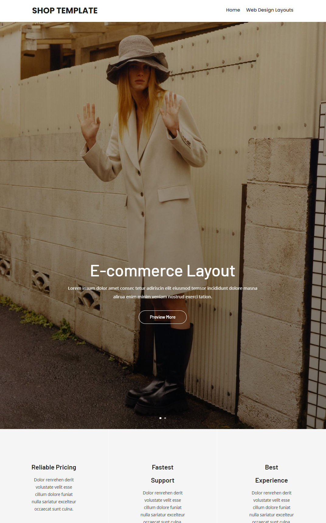 10417 – Shop Website Design