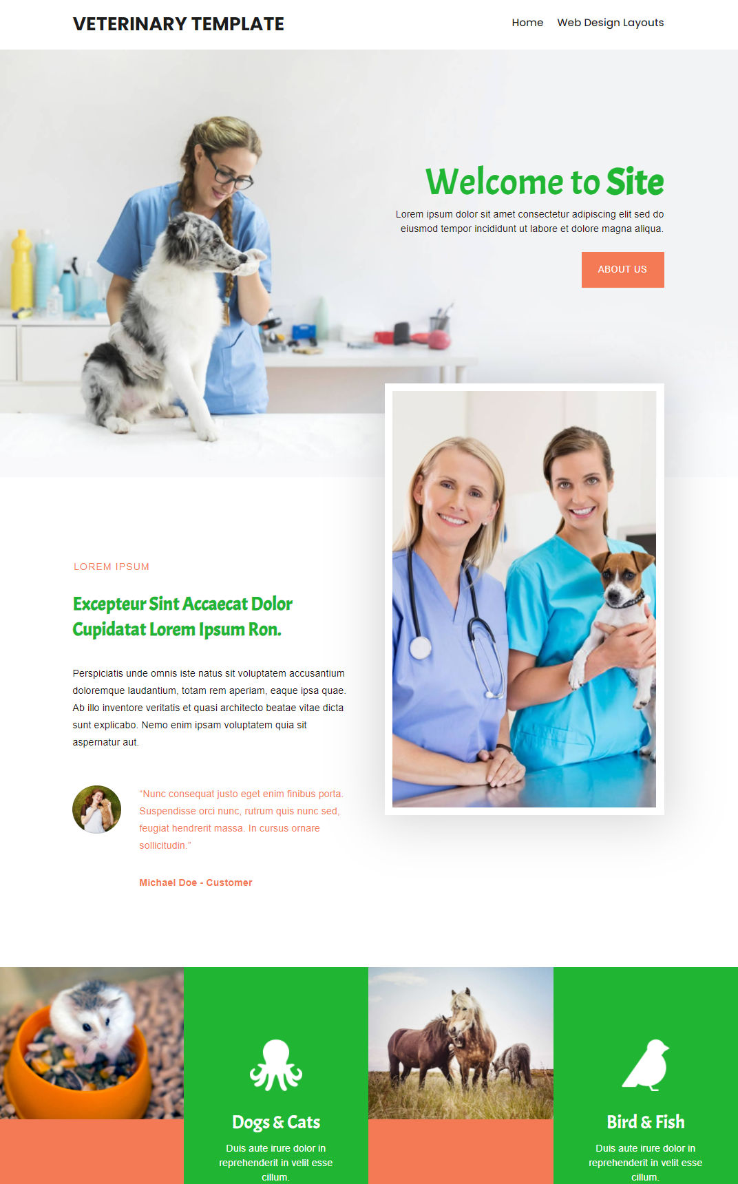 10467 – Veterinary Website Design
